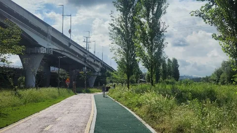 정모 대표 이미지