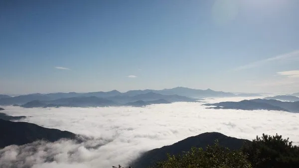 정모 대표 이미지