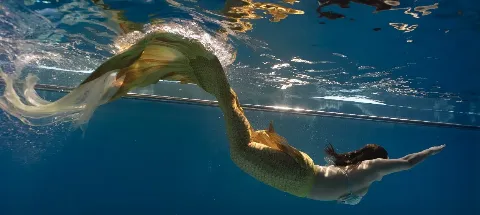 모임 대표 이미지