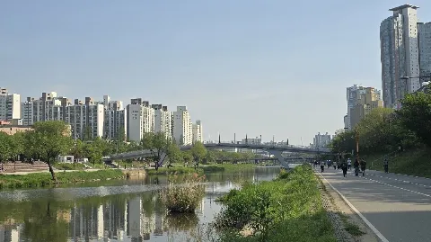 정모 대표 이미지