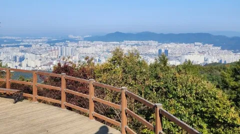 정모 대표 이미지