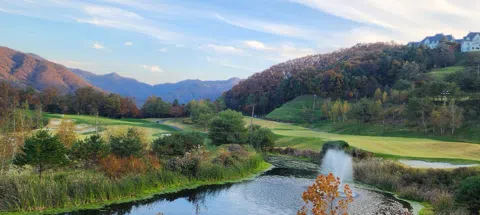 모임 대표 이미지