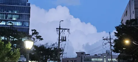 모임 대표 이미지