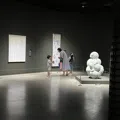 member face