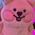 member face
