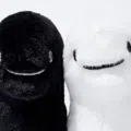 member face