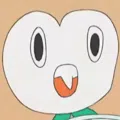 member face