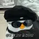 member face
