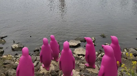 정모 대표 이미지