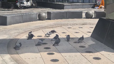 정모 대표 이미지