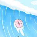 member face