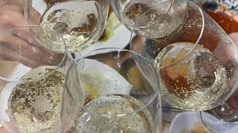 정모 대표 이미지