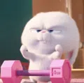 member face