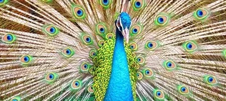 모임 대표 이미지