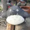 member face