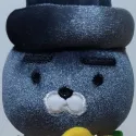 member face