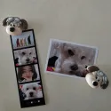 member face