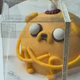 member face