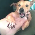 member face