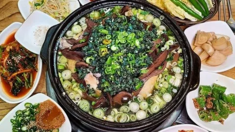 정모 대표 이미지