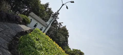 모임 대표 이미지