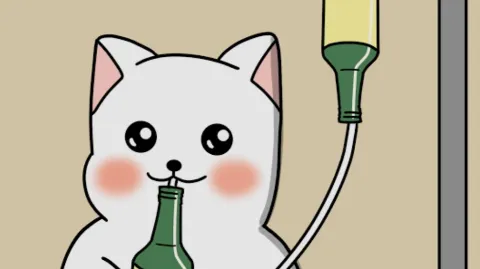 정모 대표 이미지