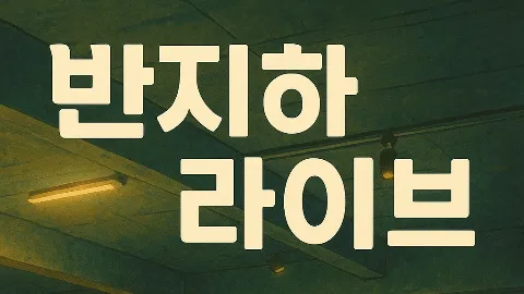 정모 대표 이미지