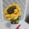 member face