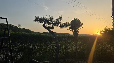 정모 대표 이미지
