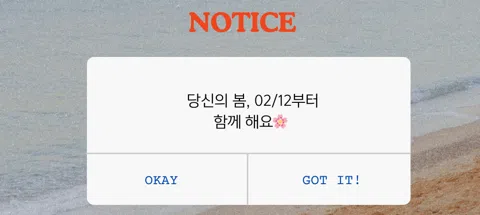 모임 대표 이미지