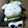 member face