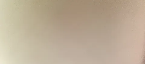 모임 대표 이미지