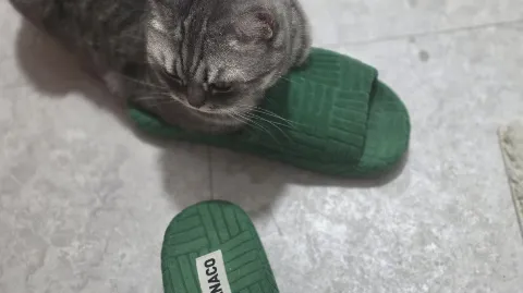 정모 대표 이미지