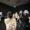 member face