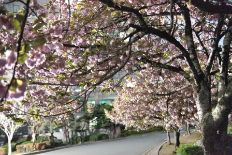 정모 대표 이미지