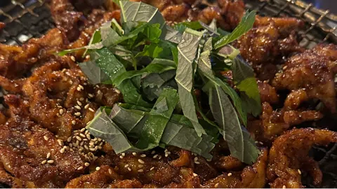 정모 대표 이미지