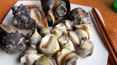 정모 대표 이미지