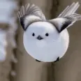 member face