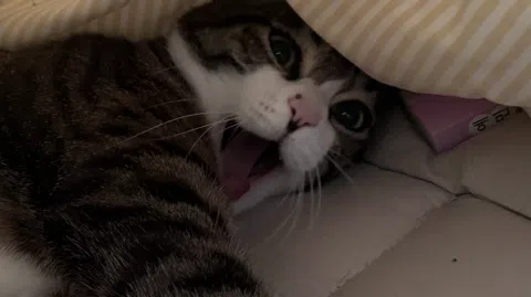 정모 대표 이미지