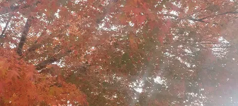 모임 대표 이미지