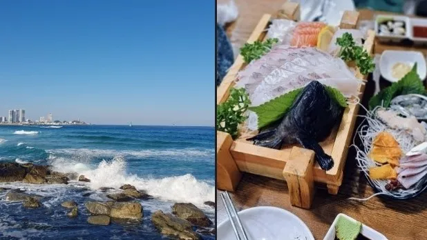 정모 대표 이미지