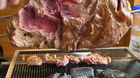 정모 대표 이미지