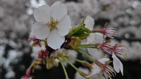 정모 대표 이미지