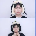 member face