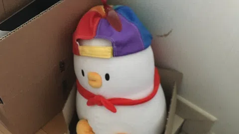 정모 대표 이미지