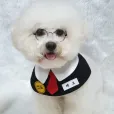member face