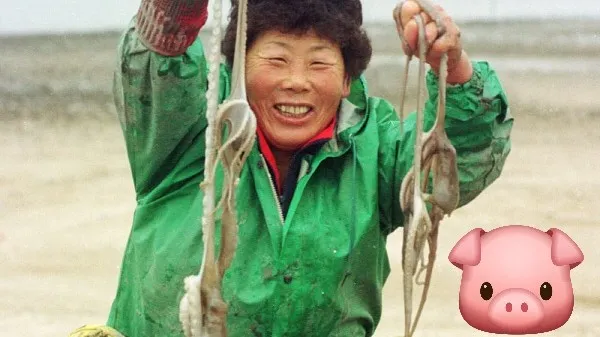 정모 대표 이미지