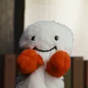 member face