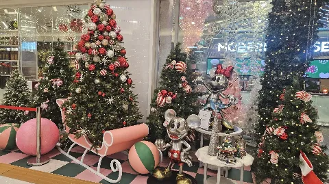 정모 대표 이미지