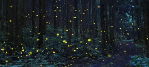 모임 대표 이미지